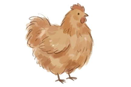 Poultry
